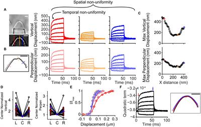 Fluid Jet Stimulation of Auditory Hair Bundles Reveal Spatial Non-uniformities and Two Viscoelastic-Like Mechanisms